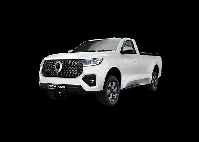 GWM P300 SX Single Cab