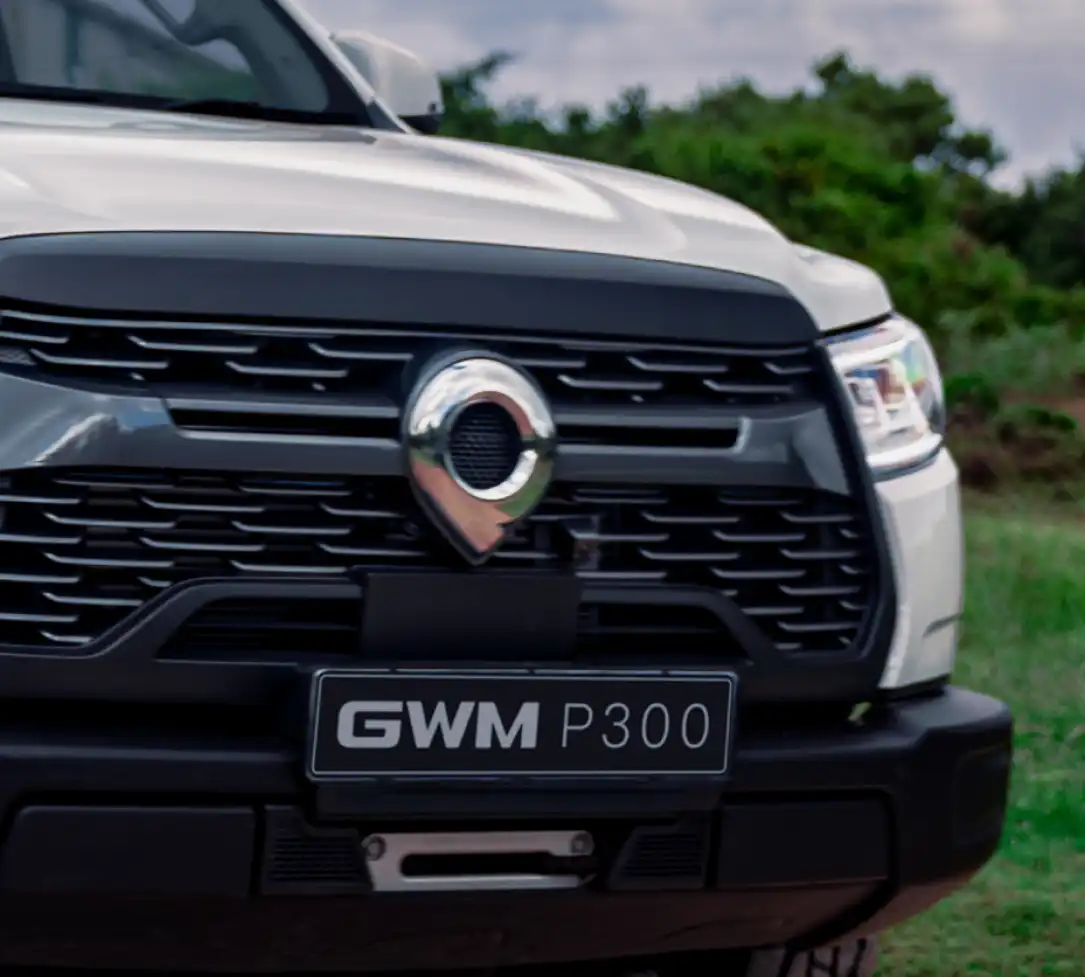 GWM P300 LTD front grille