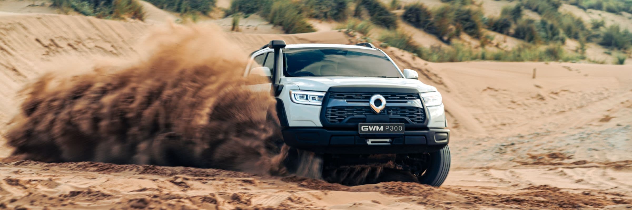 GWM P300 LTD off-road banner