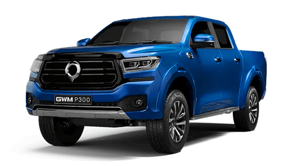 GWM P300 LS