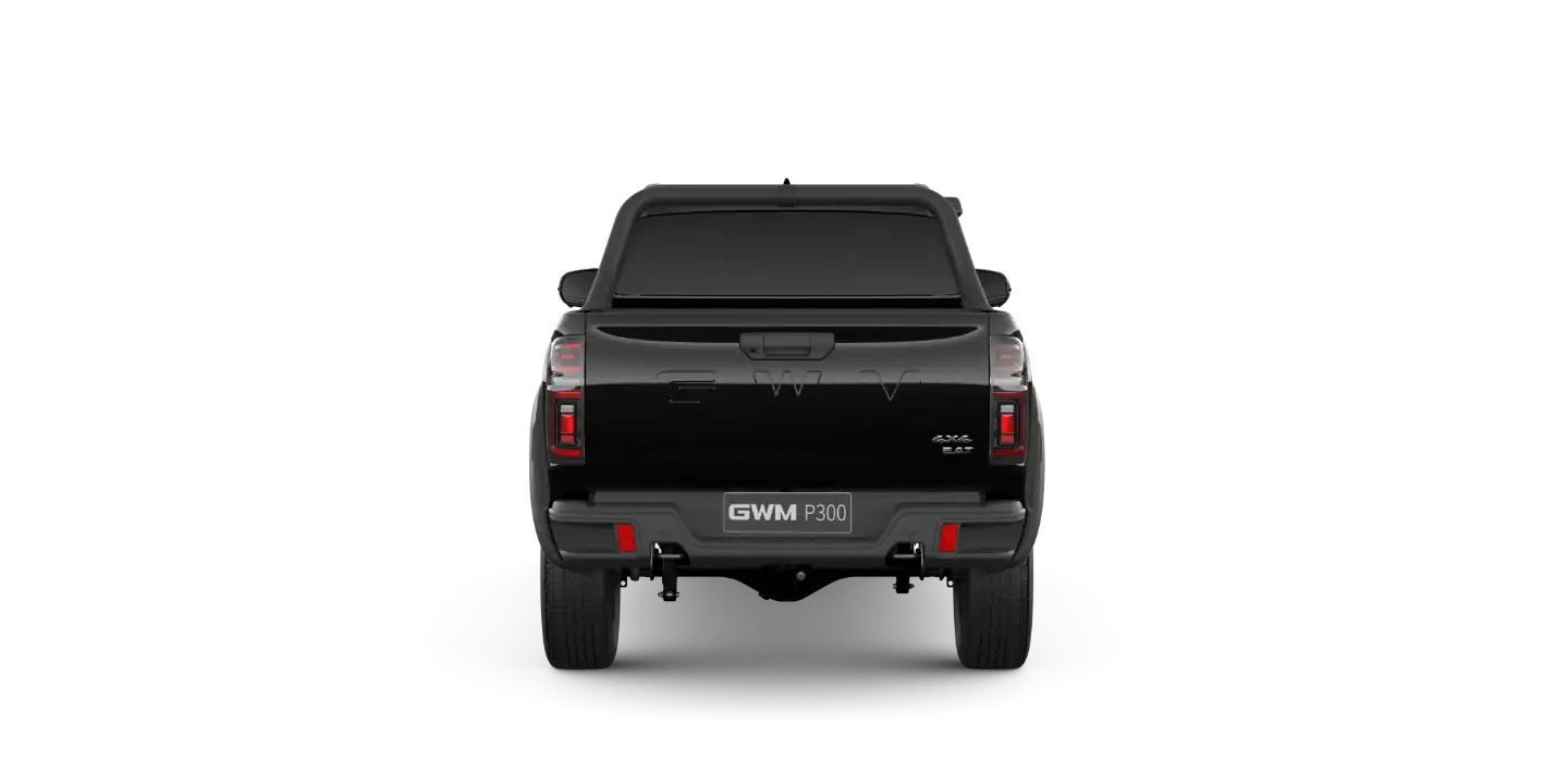 GWM P300 LTD 1