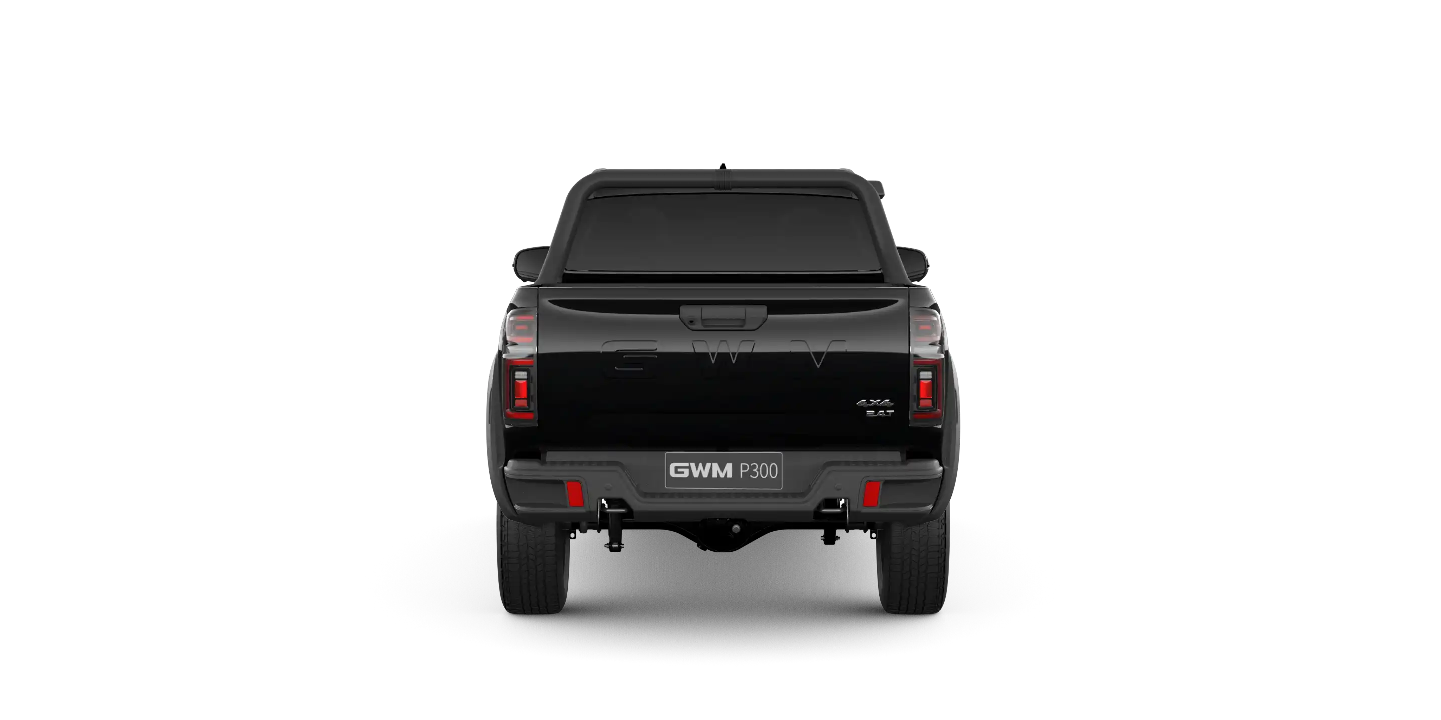 GWM P300 LTD 1