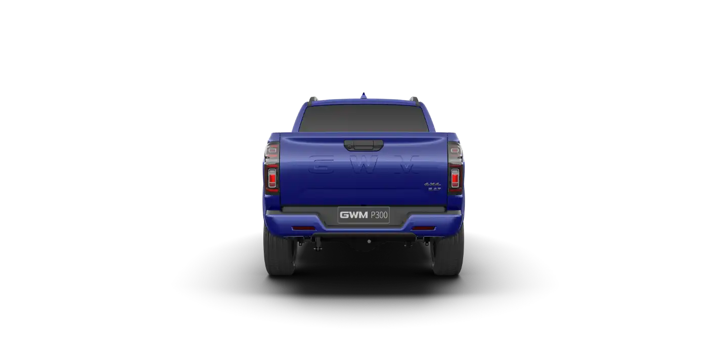 GWM P300 1