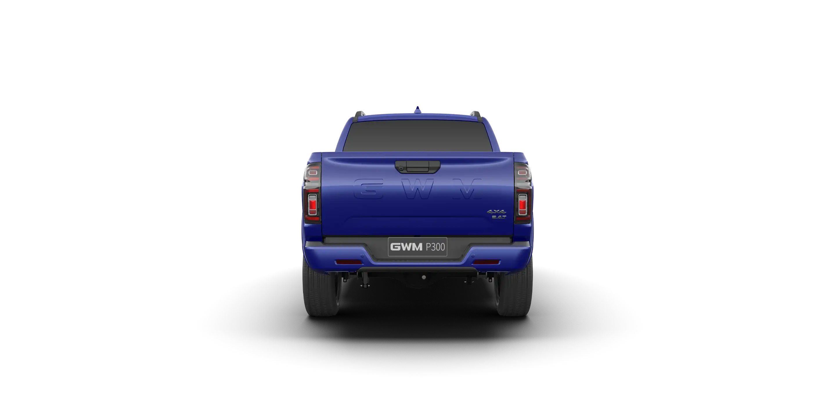 GWM P300 1